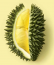 DurianSeason's Avatar